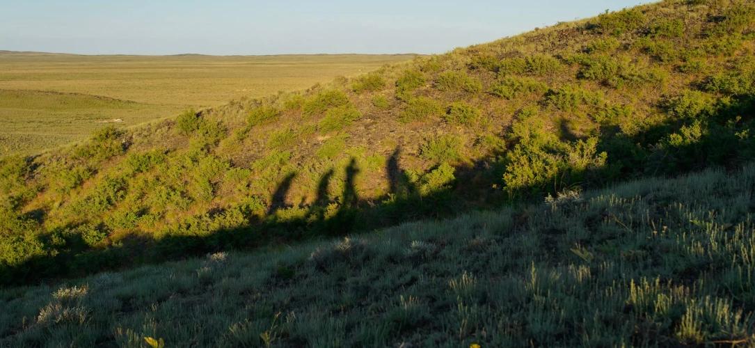 Получение права недропользования
